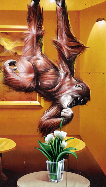 Orangutan Mural, Argyle Street, Glasgow