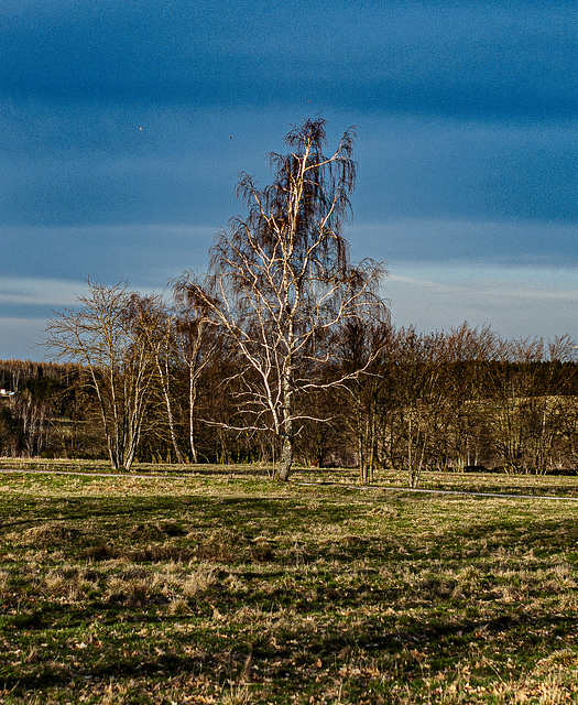 20240327_benneckenstein_wanderung (d200)