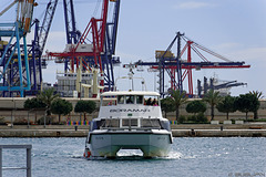 im Hafen von Valencia (© Buelipix)