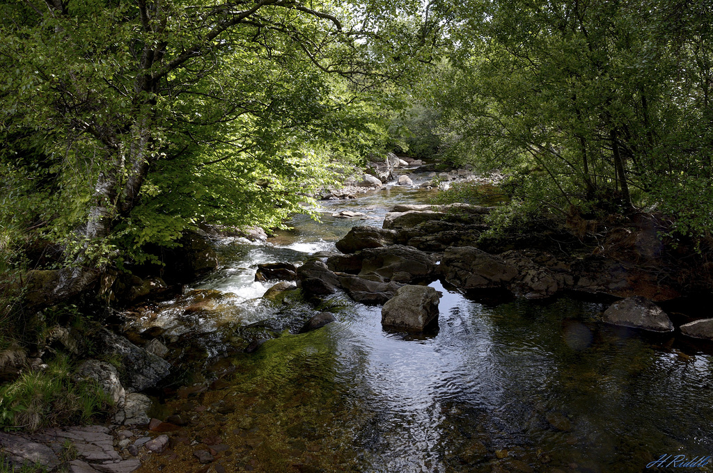 Sannox Burn