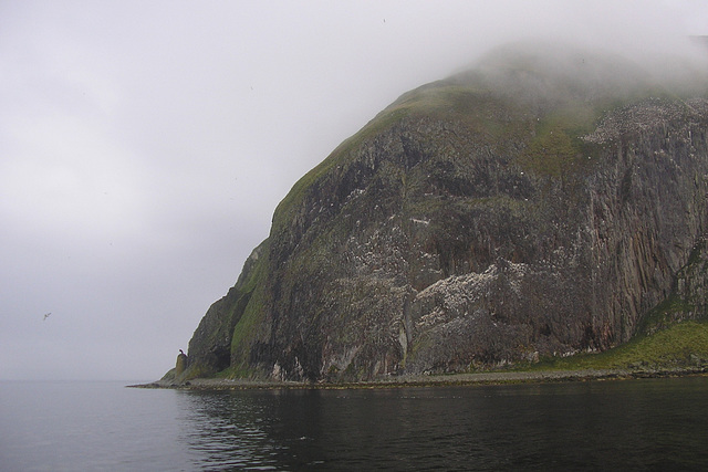 Ailsa Craig