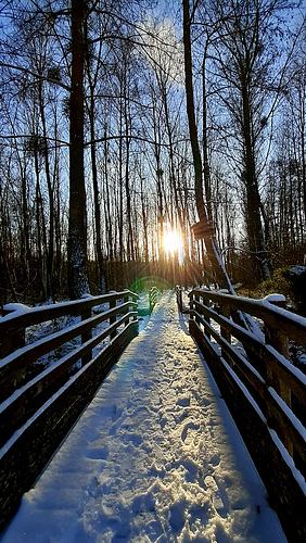 HFF - happy week-end my friends