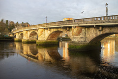 Dumbarton Bridge in Early Morning Sunlight