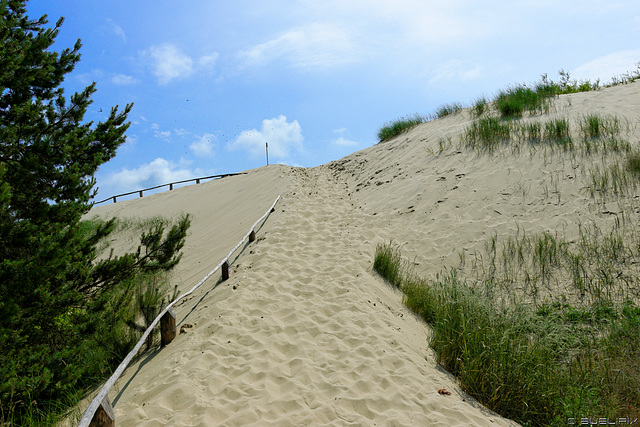 auf der Düne (© Buelipix)