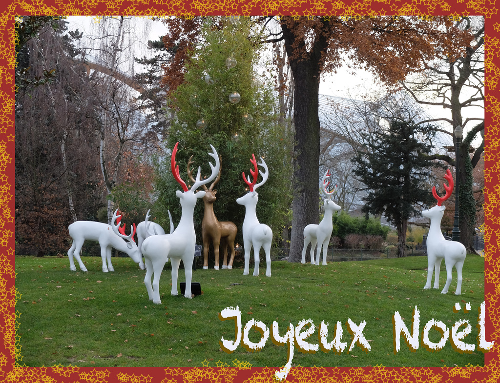 JOYEUX NOËL