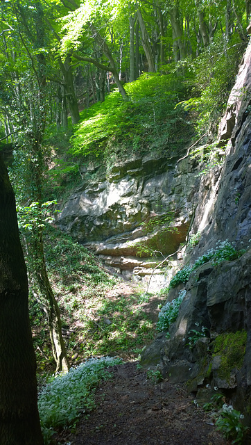 Castle Coch Quarry