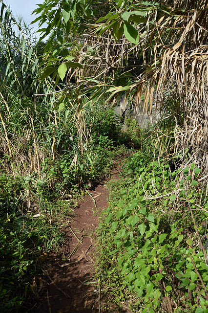 Die sanfte Levada III