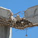 Trebinje- Not So Reinforced Concrete