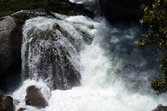 Yosemite Nat Park, Merced river L1007699