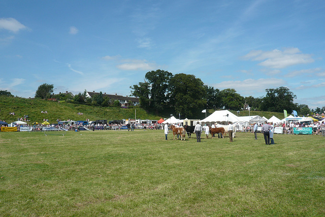 Dalston Show 2012