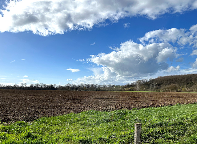 DE - Weilerswist - Frühling