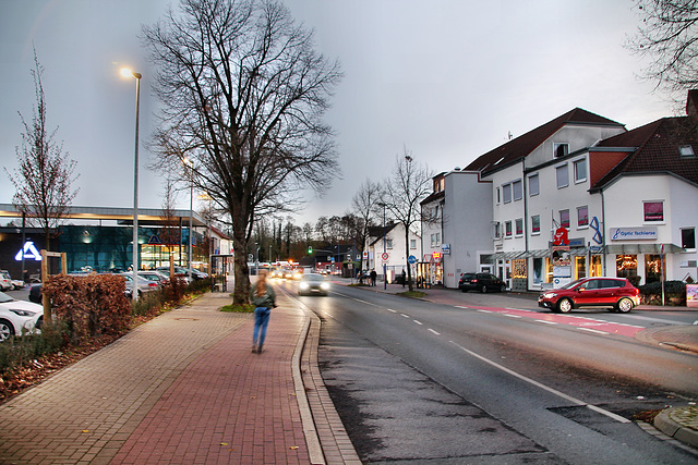 Kamener Straße (Unna-Königsborn) / 26.11.2022