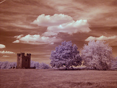 Hiorne Tower and two trees