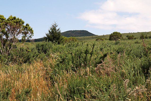 Pico Ruivo do Paúl da Serra