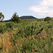 Pico Ruivo do Paúl da Serra