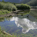 Maroon Lake Reflections