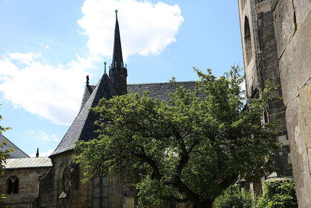 Dom zu Halberstadt