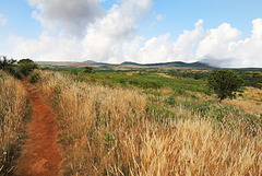 Pico Ruivo do Paúl da Serra - Der Pfad zum Gipfel via Rastplatz "Fontes Ruivas"