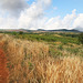 Pico Ruivo do Paúl da Serra - Der Pfad zum Gipfel via Rastplatz "Fontes Ruivas"