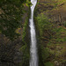 Horsetail Falls