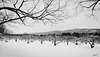 20210207- Chemin McIntosh, Frelighsburg