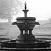 Kilmahew Fountain in the Fog