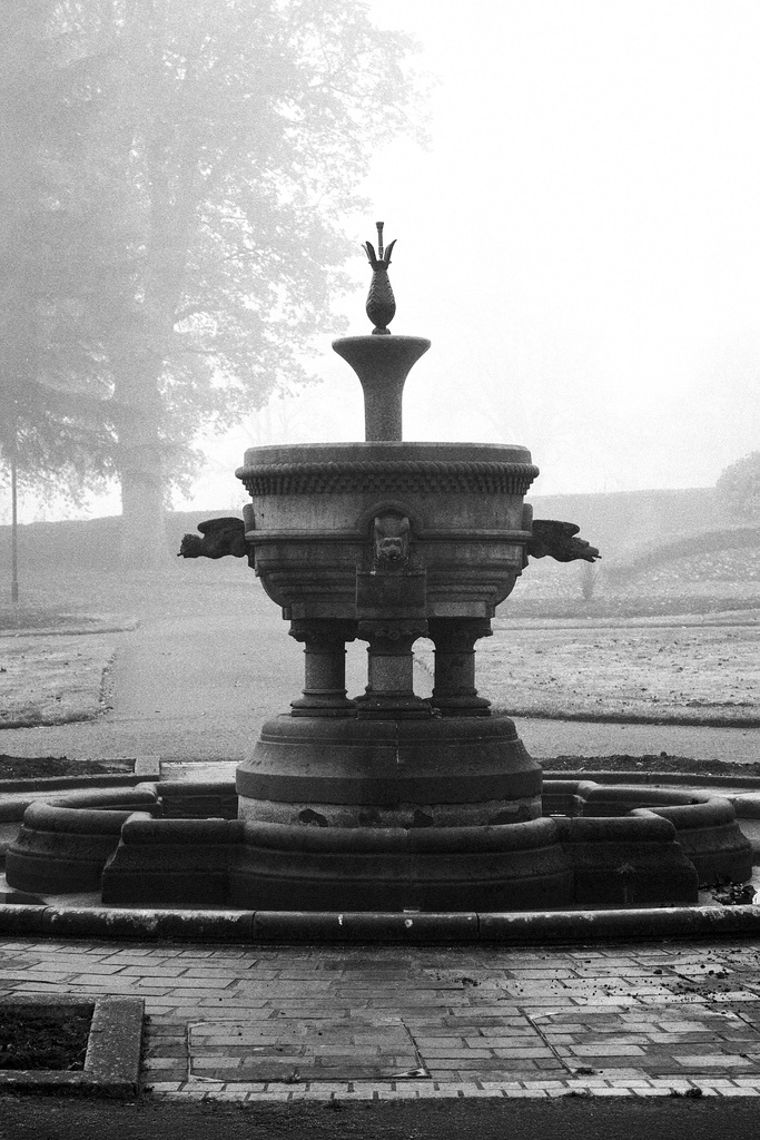 Kilmahew Fountain in the Fog