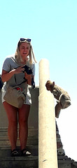 Monkey Business