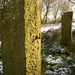 Copperas House gatepost.