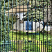 Gaucín