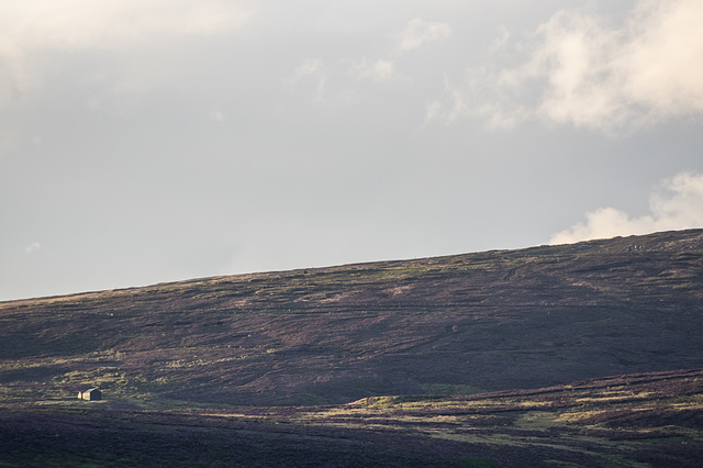 Empty Moorland ?