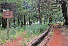 Pico Ruivo do Paúl da Serra - Der Rastplatz "Fontes Ruivas" (1)