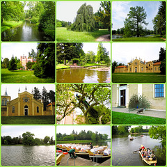 Zeitreisen - 14.05.2011 - Wörlitzer Park