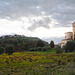 Italy, Toscana, The Abbey of Sant'Antimo and  Castelnuovo delL'abate on the Hill