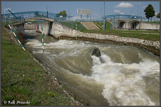 Wildes Donauwasser