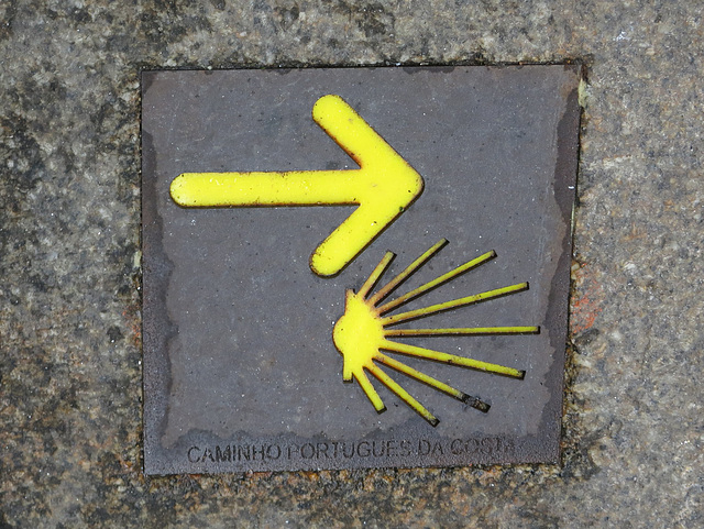 Le Chemin portugais (Via lusitana), Chemin de Saint-Jacques de Compostelle, Porto (Portugal)