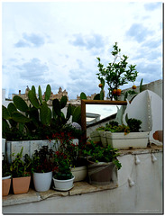 White Ostuni Tito Schipa Bistrot -Terrace with view