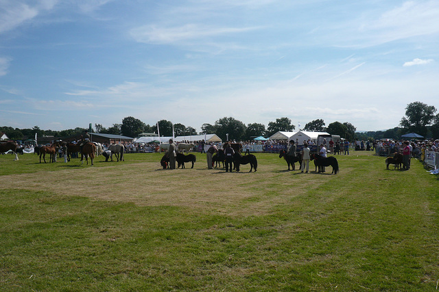 Dalston Show 2012