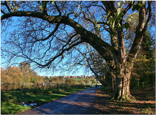 Richmond, Surrey