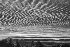 Mackerel Sky Meets Portland, 1