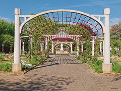 square de la roseraie