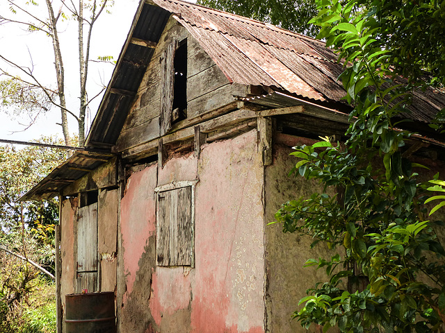 On way to Brasso Seco, Trinidad