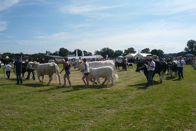 Dalston Show 2012