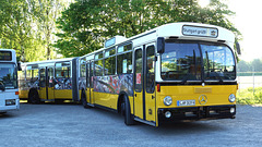 Omnibustreffen Bad Mergentheim 2022 003c