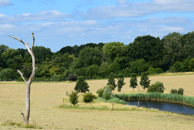 Marwell Zoo (21) - 15 July 2019