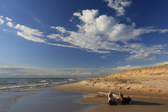 Big Sable Point