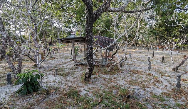 Petites pierres tombales parmi les arbres bien en vie