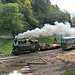 Logging siding