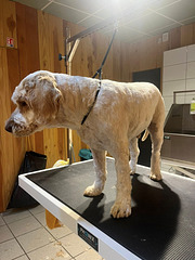 582073242 122114322813021481 5391377534557837788 n