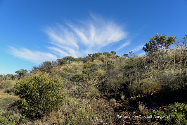 Central Australia